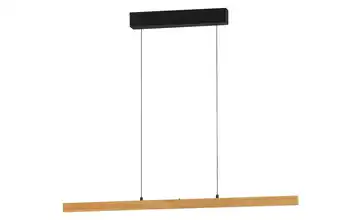 Fischer-Honsel Pendelleuchte  