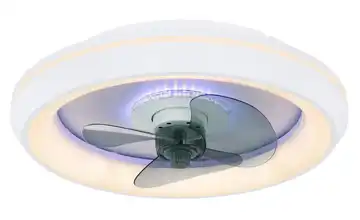 Globo Lighting Deckenventilator