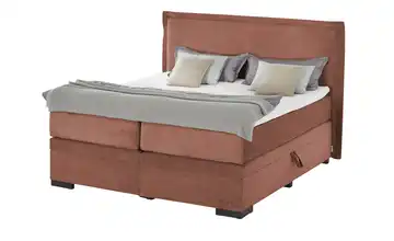 Jette Home Boxspringbett mit Bettkasten Adapt Zimt 160 cm H2 & H4 Kaltschaumkern