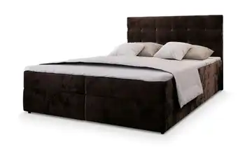MASSENO Boxbett mit Bettkasten Boxbett 140x200 cm Dunkelbraun Teddy