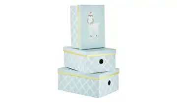 Aufbewahrungsboxen, 3er Set