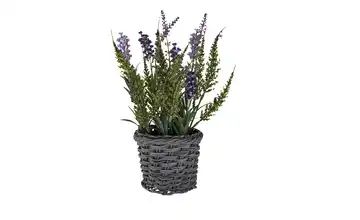 Lavendel im Korb
