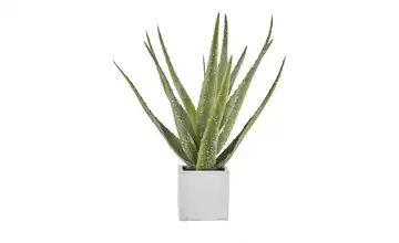 Aloe im Keramiktopf Kunstblume