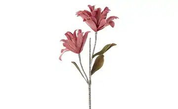 Soft Flower Kamelienzweig