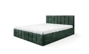 Polsterbett mit Bettkasten 120x200 cm Grün