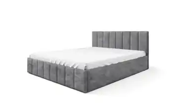 Polsterbett mit Bettkasten 120x200 cm Grau