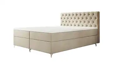  Boxbett  