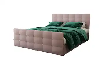  Boxbett  