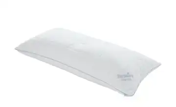 Paradies Kopfkissen  Softy-Kosmo Bio Duett +