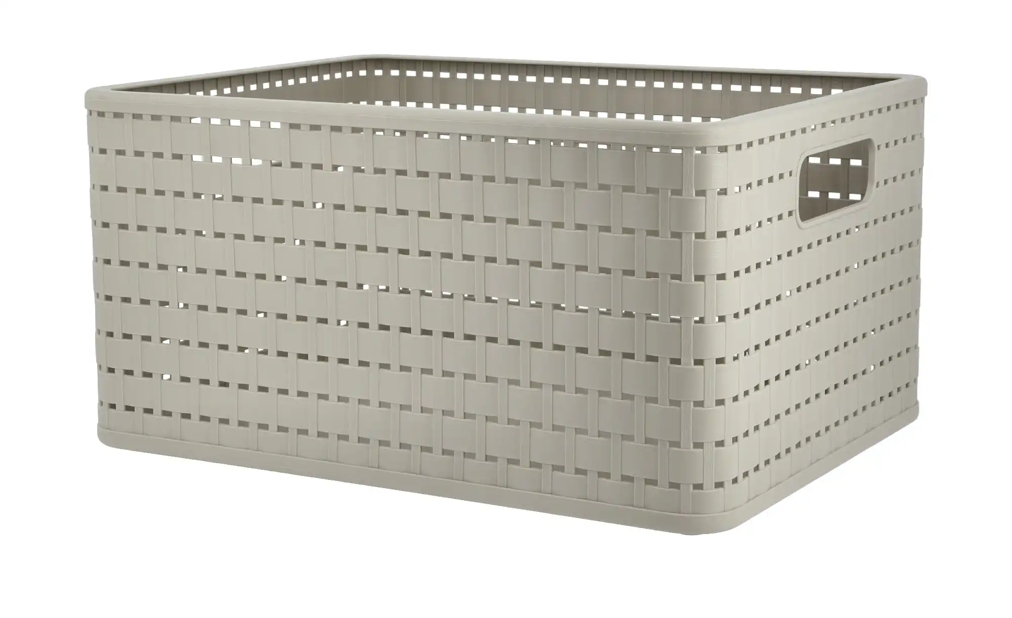 Rotho Aufbewahrungsbox  27,8 cm - Bei Möbel Kraft online kaufen