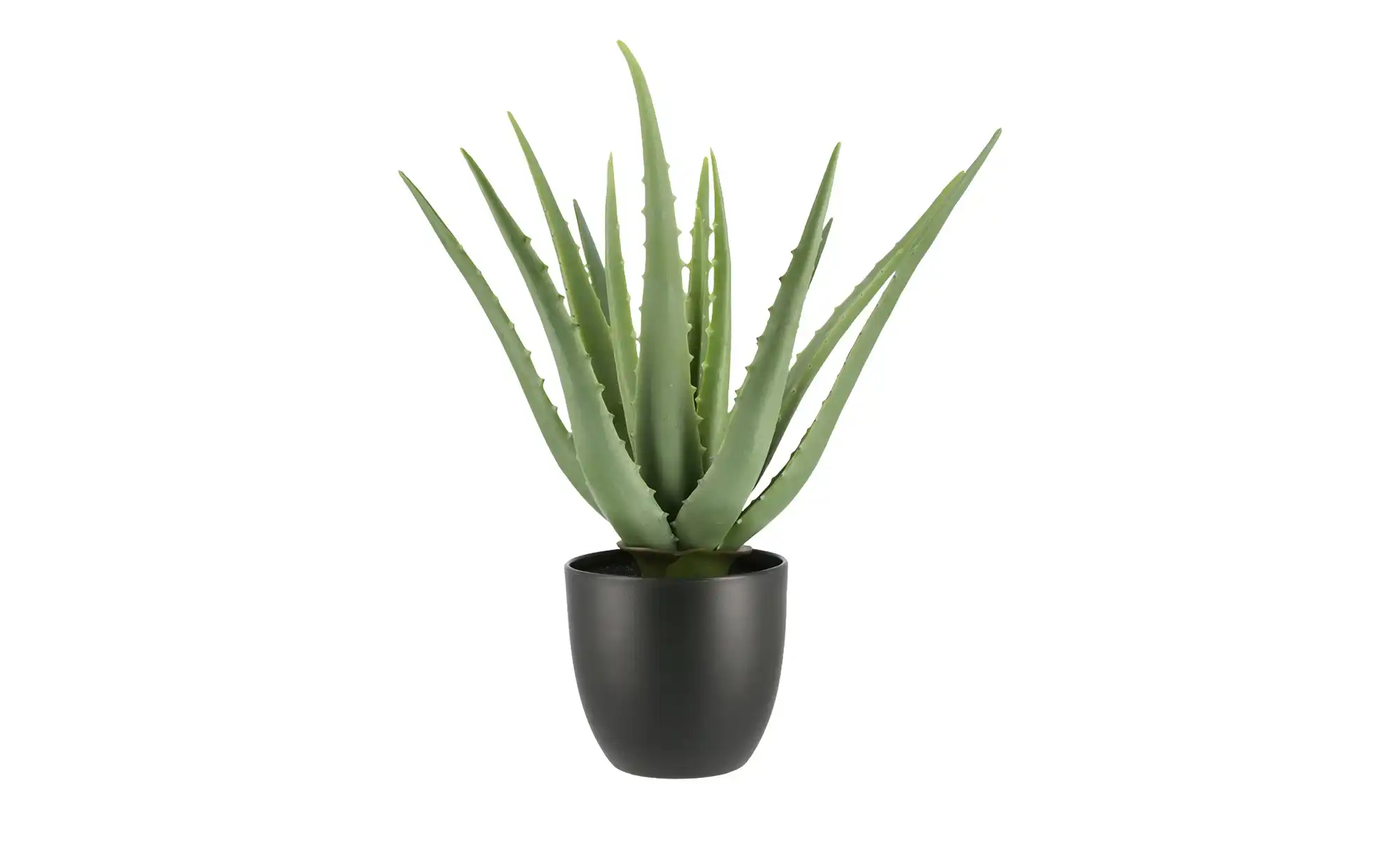 Aloe im Topf ¦ grün ¦ Kunststoff ¦ Maße (cm): H: 35 Ø: [25.0] Dekoration > Kunstblumen - Möbel Kraft 597277